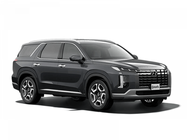 Hyundai Palisade Серый