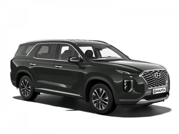 Hyundai Palisade 2018 Rain Forest