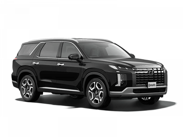 Hyundai Palisade Черный