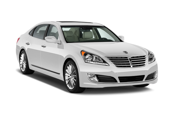 Hyundai Equus White flost